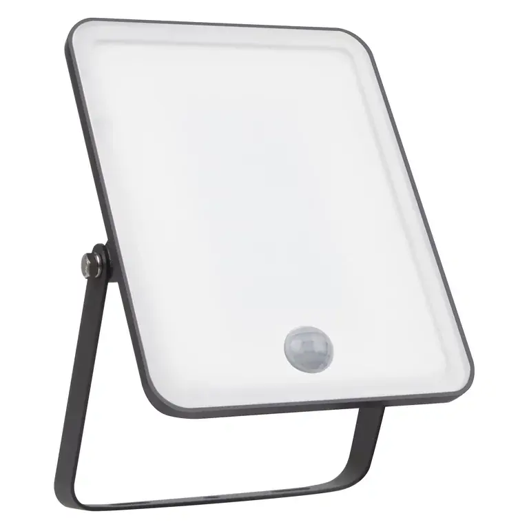 Efterfrågad | Floodlight Essential Sensor 30W utelampa